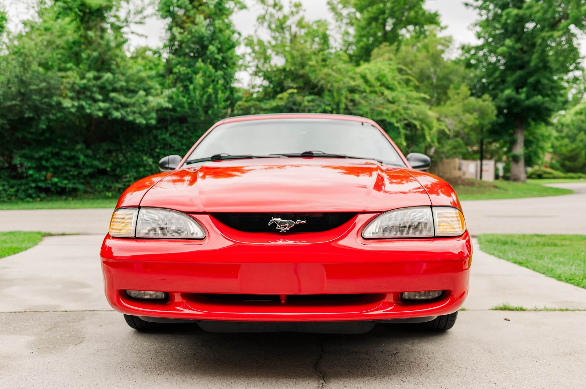 headlight restoration service - WILMINGTON, NC - Martins Auto Spa